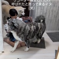 次は練習できるかな？