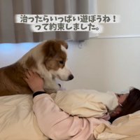 「今はやすんでね」