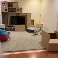 ボールをゲット