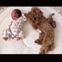 赤ちゃんが気になるりのちゃん