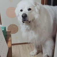 「まだ来ない…？」