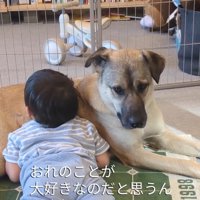ふくすけ君が大好きな男の子