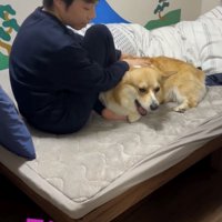 愛溢れるナデナデ