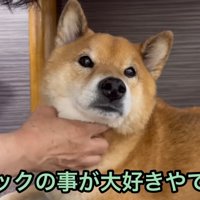 愛を伝えながらナデナデ…