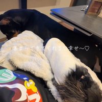 コロンちゃんとヴェルトくん