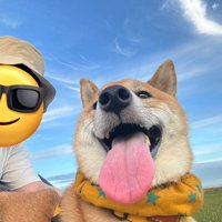 ニコニコ