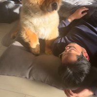 男性に叱られる犬