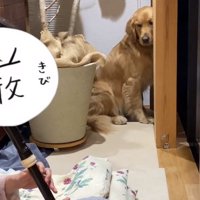 顔をしかめるならちゃん