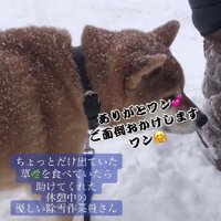 わくわくの朔ちゃん