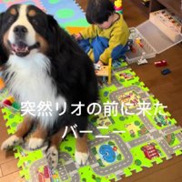 バーニーちゃんが乱入！！