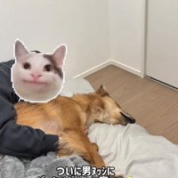 パパと寝るラッキーくん