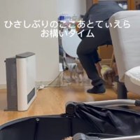 兄犬たちのナデナデに大忙し