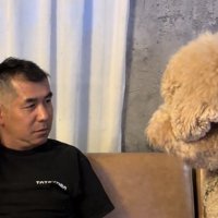 犬を見つめ返す人
