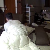 見つめ合うパパと犬1