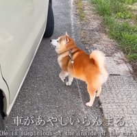 この車が怪しい…！