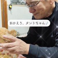 タントちゃん、おかえりなさい