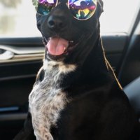 家族の絆に感動