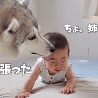 前に進めたら褒めてくれます♪