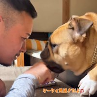 男性の指を咥える犬