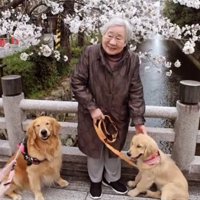 大型犬二匹とおばあちゃん