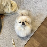 見上げる