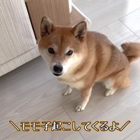 女の子を起こしてくると伝えたら…