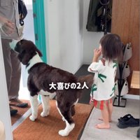 大喜びでパパを出迎え