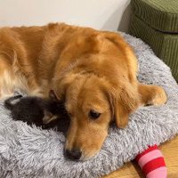 まるで親子そのもの