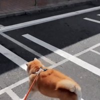 「この匂いは…！」