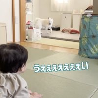 「！！」