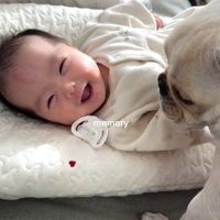 ぶうちゃんと赤ちゃん4