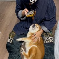 終わらない歓迎