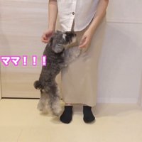 熱烈大歓迎♪