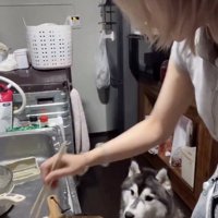 じーっ…