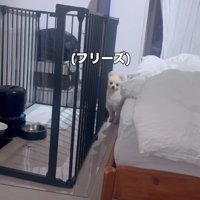 フリーズしてしまった