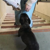 「パパ、おかえり！！」