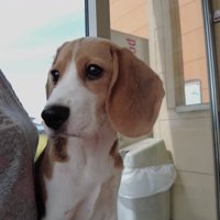 結局、オムツ無しで外出