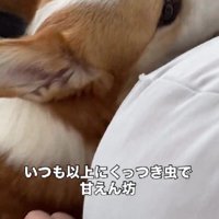 「もういなくならないでね」