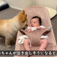 「どうしたの？大丈夫？」