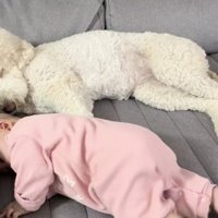 ひたすらに爆睡中…
