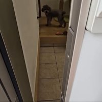 帰宅してドアを開けたら…