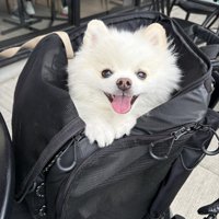 ニコニコ