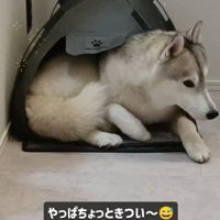 「ちょっと狭い…」