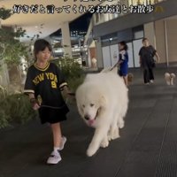 上手にお散歩できるかな？