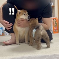 イチャイチャタイムに、ゆきちくん乱入