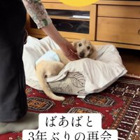 ナデナデも久しぶり