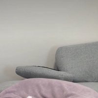 部屋が静かに…