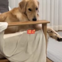 じーっと視線を送ってくる…