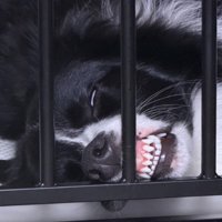 白目をむいて爆睡！