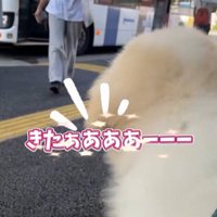 お姉さんを迎えに来たボンドくん8